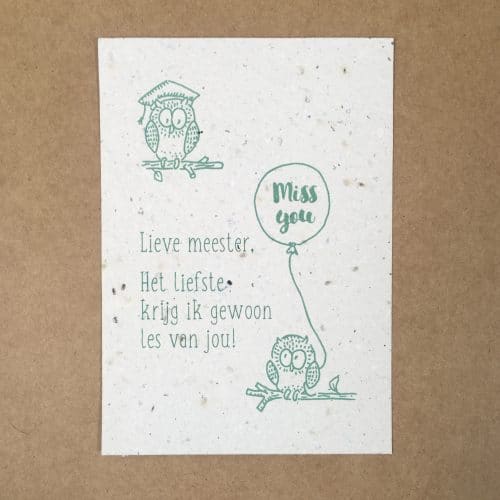groeikaart mis je meester